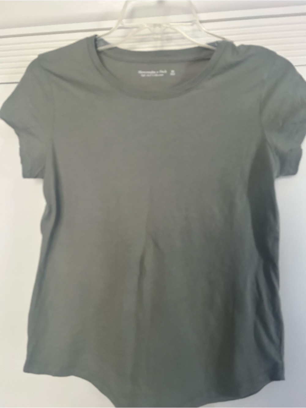 Classic Abercrombie & Fitch Crewneck Women's Tee - Gray xs sage green